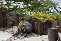Cosmos, Osteospermum, Sedums in border with railway sleepers and pebbles - 'Westhaven School by the Seaside' - RHS Malvern Spring Gardening Show 2011
