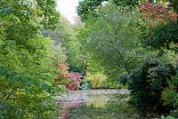Pond, forming part of the Gertrude Jekyll Water Garden - Vann, Surrey