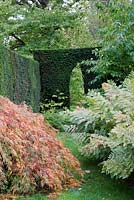 Formal clipped Yew hedges, Acer and Ferns - Vann, Surrey