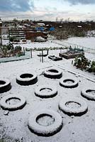 Raised beds made from old tyres on allotment site