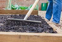 Step by step - Preparing soil in raised bed and planting Beetroot 'Red Titan F1'