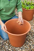 Step-by-step Planting an orange and blue themed container - placing broken pots at bottom of pot