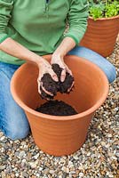Step-by-step Planting an orange and blue themed container - putting soil in container 