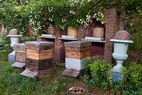 Beehives - Moleshill House, Surrey
 