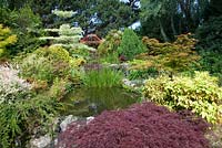 Japanese garden at Samares manor, Jersey
