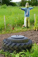Allotment with scarecrow and compost bin made from old tyres, Norfolk, UK, June