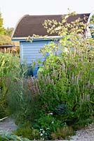 Planting with Agastache foeniculum, Arctium lappaa and Foeniculum vulgare next to modern styled garden house with wagon roof