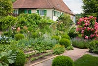German house and garden with box spheres, roses and a mixture of flowers and vegetables- 'Rosarium Uetersen',  Buxus, Calendula officinalis, Lavandula angustifolia, Nigella damascena and Vitis