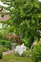 Bistro styled garden furniture in front of a house with window shutters and perennial border. Rosa 'Leonardo da Vinci', Buxus, Delphinium Elatum-Grp., Dianthus barbatus, Gillenia trifoliata and Prunus avium