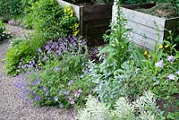 Wooden compost bins edged by summer borders with Geranium himalayense 'Gravetye', Heuchera, Aqueligia vulgaris, Digitalis and Euphorbia 'Tasmanian Tiger' 