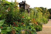 Exotic planting in the Collector Earl's Garden, designed by Julian and Isabel Bannerman, includes echiums, monardas, salvias, eryngiums and rudbeckias.