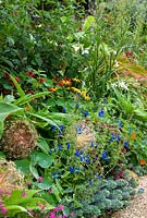 Border in the Collector Earl's Garden features a colourful mix of Euphorbia myrsinites, deep red sedum, nasturtiums, rudbeckias, white Crinum x powellii 'Album', red monardas and blue Salvia patens