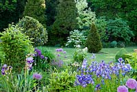 Border of purples and whites runs along south side of the house with shrubbery beyond. Old Rectory, Pulham, Dorset, UK