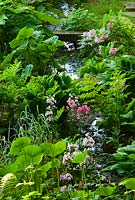 The bog garden, full of lush ferns, hostas, candelabra primulas, irises, rodgersias and persicarias. Old Rectory, Pulham, Dorset, UK
