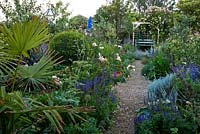 Gravel path leads toward rose festooned seat edged with helichrysums, salvias, roses and verbascums. Eastfield, Yarlington, Somerset, UK