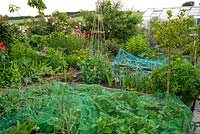 Vegetable patch with strawberries in the foreground protected from birds with netting. Eastfield, Yarlington, Somerset, UK
