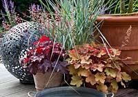 Display of terracotta containers with Heuchera 'Fire Chief' and Heuchera 'Caramel' and in the background Leymus arenarius 'Blue Dune'