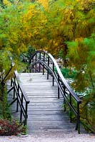 Arched bridge in oriental garden - Botanic Garden in Wroclaw