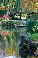 Pond in Japanese garden, Wroclaw