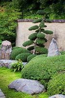 Oriental border with clipped Buxus sempervirens