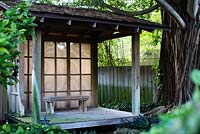 Japanese garden room with a mature Weeping Fig (Ficus benjamina) in the Japanese Garden - Heathcote Botanical Gardens, Florida