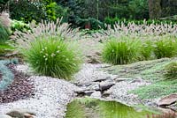 Stream through gravel garden with Pennisetum alopecuroides  
