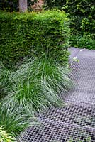 Lattice path, conifer hedge and ornamental grasses