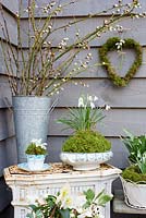Galanthus nivalis - Snowdrops displayed in vintage china, heart wreath and containers with Salix - pussywillow 