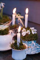 Candles in vintage teacups with galanthus nivalis -snowdrops and hellebores 