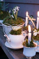 Candles in vintage teacups with galanthus nivalis - snowdrops and hellebores 