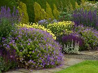 The main border at Town Place, Freshfield, West Sussex with a glimpse of the two-toned yew hedging, Nepeta parnassica, Campanula lactiflora 'Pritchards Variety', Knautia macedonica, Stachys byzantina, Geranium nimbus, and Anthemis 'E.C. Buxton' 