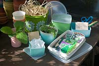 Vintage tupperware containers used in greenhouse