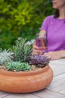 Step by step - planting a succulent container. Finished pot with Echeveria 'Pearl of Nuremberg' and 'Elegans', Stapelia and Kalanchoe 'tubiflora' 