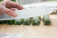 Step by step making herb ice cubes - Sage