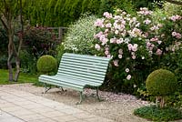 Against a backdrop of roses, a nostalgic wooden garden bench framed with box spheres - Rosa 'Fritz Nobis', Rosa 'Nuits de Young', Buxus, Crambe cordifolia and Vinca - Germany