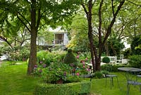 Roses, topiary and bistro style garden furniture under trees. Plants include Buxus, Cercidiphyllum japonicum, Prunus and  Prunus serrula var. tibetica - Germany