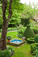 Terracotta pots and small pond with fountain next to Buxus topiary, Hosta, Prunus serrula var. tibetica - Germany