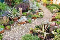 Gravel path and potted plants including Echeveria, Sempervivum, Agave and other succulents - Southlands, Manchester NGS