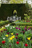 Spring Tulips, Sundial Garden, Highgrove, April 2010. Originally designed by Lady Salisbury as a Rose Garden 