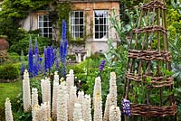 The Sundial Garden and Highgrove House with lupins, June 2011.