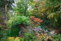 The Stumpery, Highgrove Garden, October 2007.The Stumpery is based on a Victorian concept for growing ferns amongst tree stumps.    