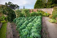 Vegetables and produce growing in the The Walled Garden, Highgrove Garden, September 2009. 