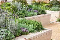 Stone raised beds with mixed planting including Salvia, Rosmarinus, Thymus, Teucrium, Artemisia