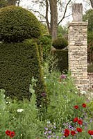Yew topiary amidst soft, cottage-style planting including ladybird poppies, geraniums, Orlaya grandiflora, euphorbias and alliums