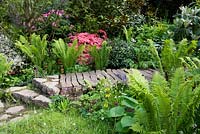 Stone steps and wooden pathway through summer borders in The Furzey Garden, Design - Chris Beardshaw Ltd, Gold Award. Chelsea 2012