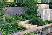 The M & G Garden. Clipped Ilex crenata balls, Anthriscus sylvestris and Thalictrum 'Black Stockings' with steps leading up to Cercidiphyllum japonicum 