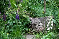 The Plankbridge Shepherd's Hut Garden. A wildflower garden complete with scaled down authentic Shepherd's hut