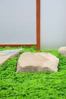 Yorkstone with Galium odoratum planted below acrylic screens in The Rainbows Children's Hospice Garden 