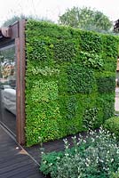 Green herb wall - Rooftop Workspace of Tomorrow, depicting vacant urban rooftop space extending the office outdoors - RHS Chelsea Flower Show 2012 