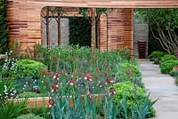 Homebase Teenage Cancer Trust Garden, Gold Medal winner - RHS Chelsea Flower Show 2012 Cedar frames and Yorkshire stone pathway and walls are complemented by soft planting including irises, Verbascum 'Clementine' and Geum x borisii